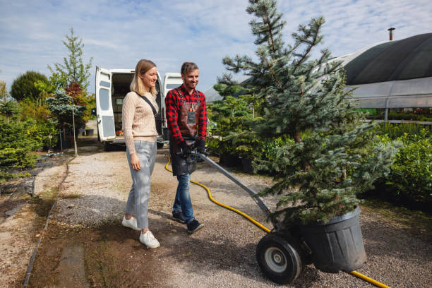 Lawn Watering Services in Wallace, ID